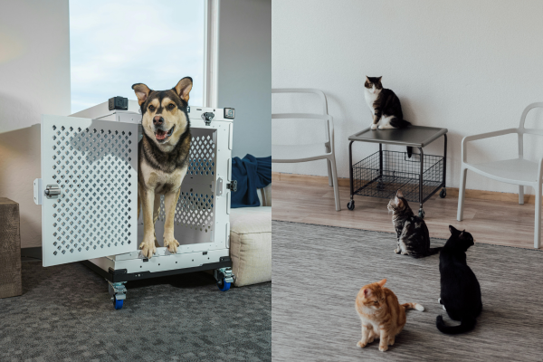 Pet Care Products
